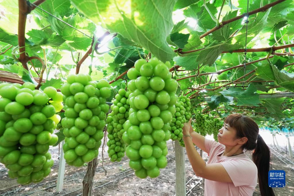 白菜网送彩金存1元38